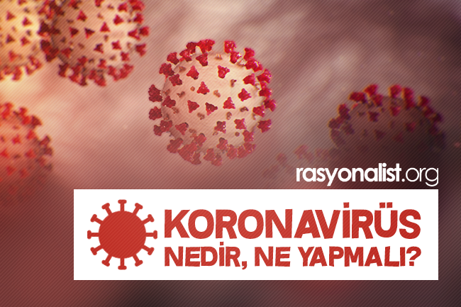 What Is Coronavirus, and What Should We Do?