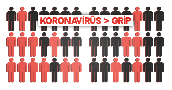 What Is Coronavirus, and What Should We Do?