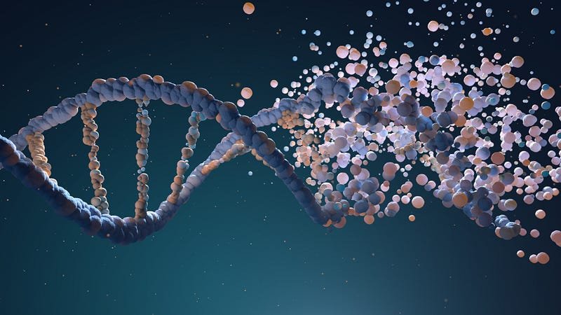 Designing Our Own DNA Is Possible